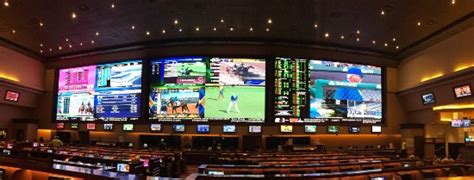 hollywood sportsbook mobile